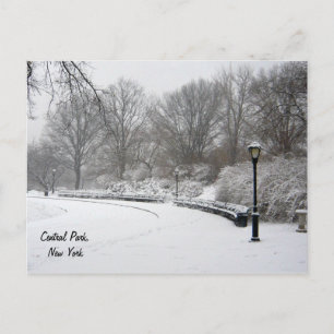 Winter in Central Park Postcard