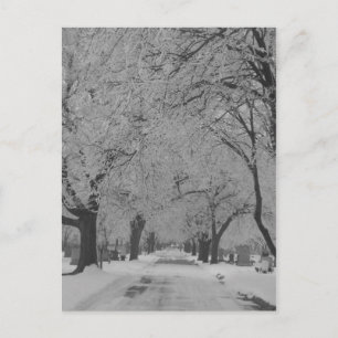 Winter In Nebraska Postcard