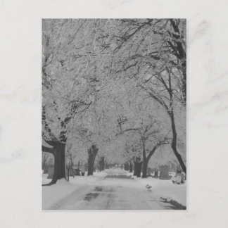 Winter In Nebraska Postcard