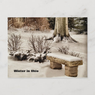 Winter in Ohio Postcard