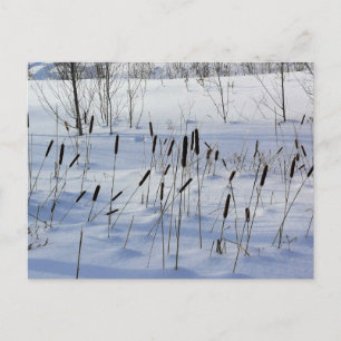 Winter in Quebec, Canada Postcard