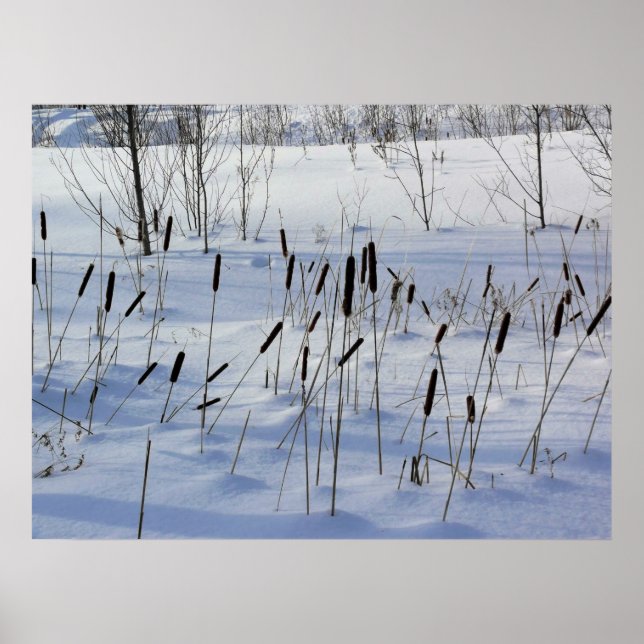 Winter in Quebec, Canada Poster (Front)