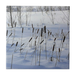 Winter in Quebec, Canada Tile