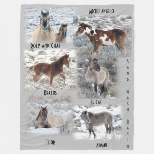 Winter in Sand Wash Basin Fleece Blanket