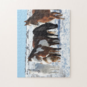 Winter in Sand Wash Basin Jigsaw Puzzle