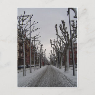 Winter in Strasbourg Postcard