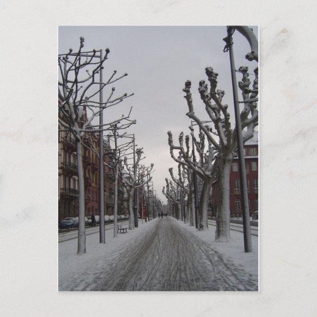 Winter in Strasbourg Postcard (Front)