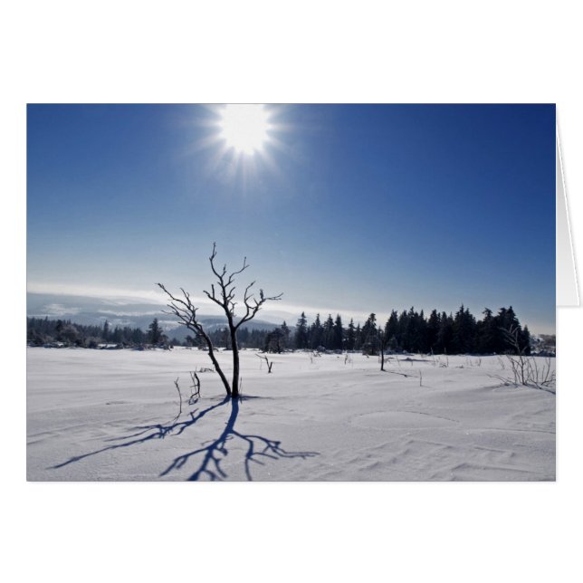 Winter in the Black Forest (Front Horizontal)