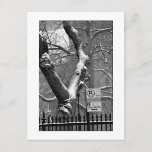 'Winter in the City' Postcard