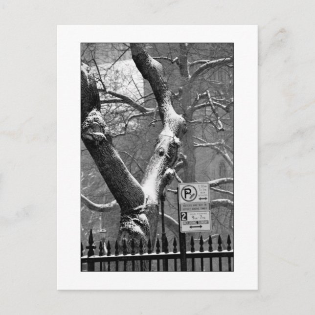 'Winter in the City' Postcard (Front)