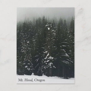 Winter in the Mountain Forest, Oregon Postcard