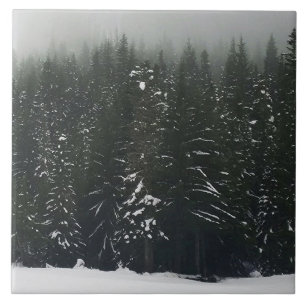 Winter in the Mountain Forest Tile