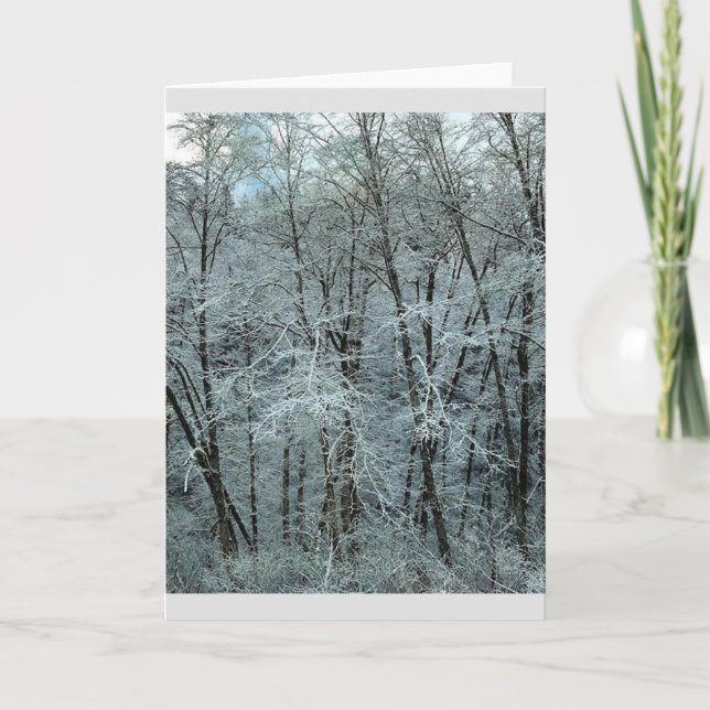 Winter in the Tillamook State Forest, Oregon Card (Front)