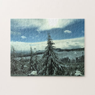 Winter in the Tillamook State Forest, Oregon Jigsaw Puzzle
