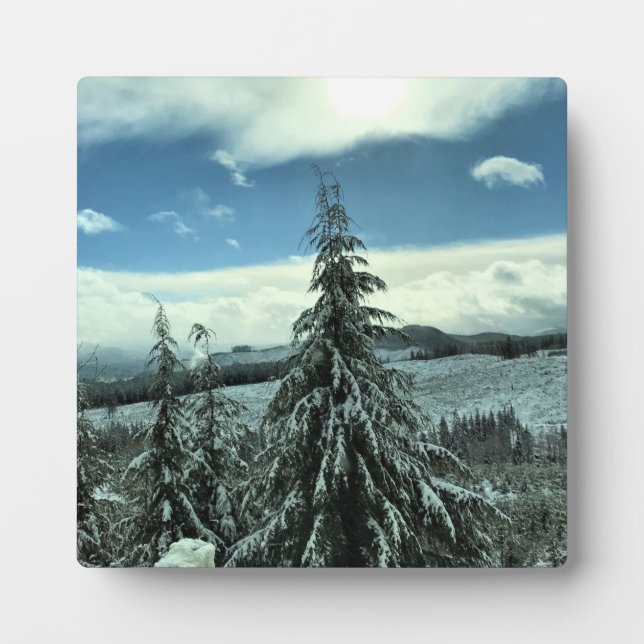 Winter in the Tillamook State Forest, Oregon Plaque (Front)