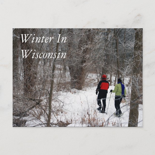 Winter In Wisconsin Postcard (Front)