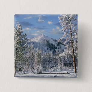 Winter in Yellowstone National Park, Wyoming 2 Inch Square Button