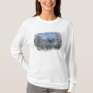 Winter in Yellowstone National Park, Wyoming T-Shirt