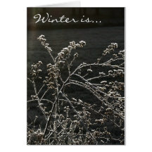 Winter Is
