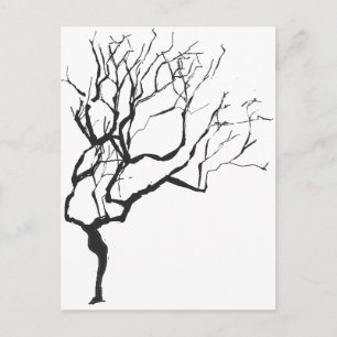 Winter is Coming Drawing Minimalism Wintery Tree Postcard