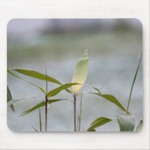 winter is coming mouse pad