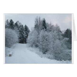 winter joy snowy road estonia