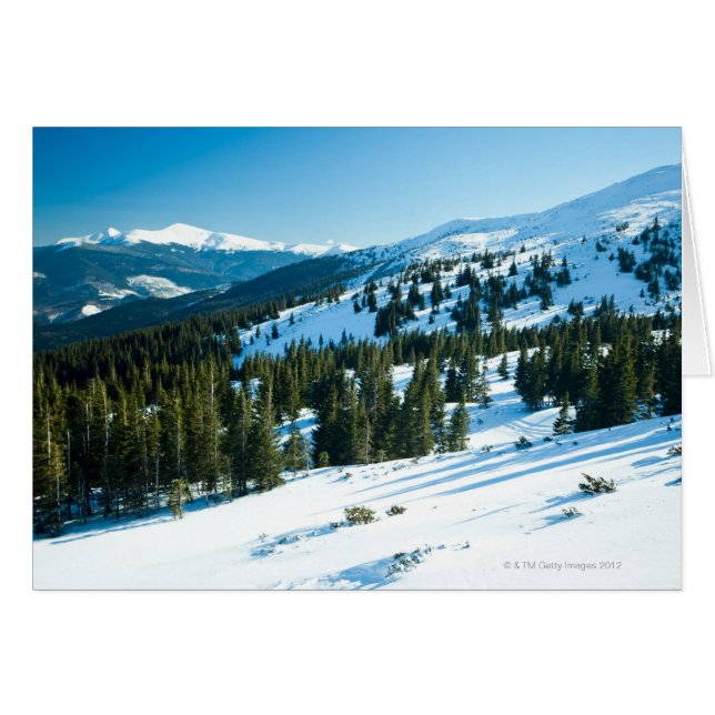 Winter land 3 (Front Horizontal)