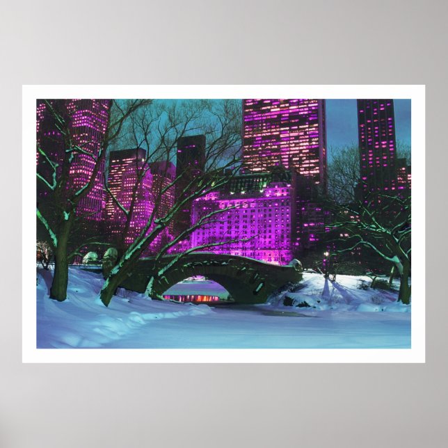 Winter Landscape Central Park New-York Poster (Front)
