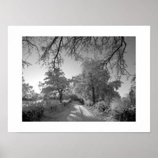 Winter Landscape: Cheshire Poster
