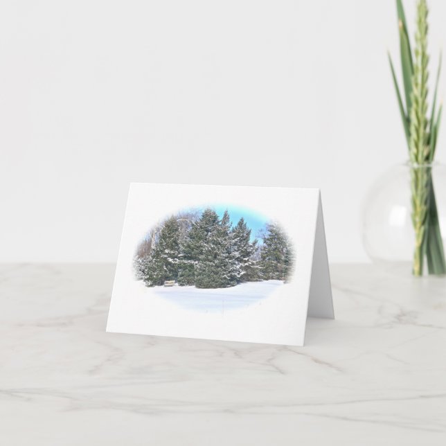 WINTER LANDSCAPE /EVERGREEN TREES & BENCH IN SNOW CARD (Front)