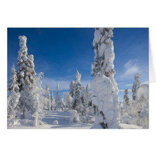 Winter landscape in Lappland