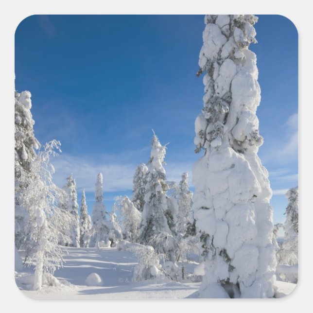 Winter landscape in Lappland Square Sticker (Front)