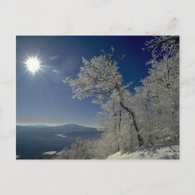 Winter landscape, New England Postcard (Front)