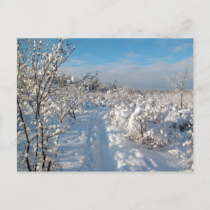 Winter Landscape - Postcard