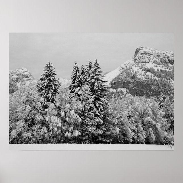 Winter landscape poster (Front)