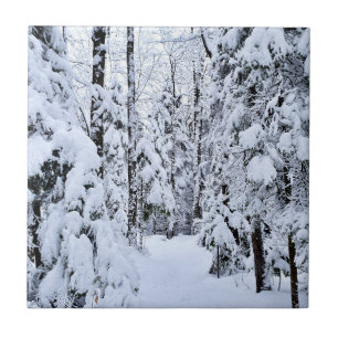 Winter Landscape Snow in Forest Tile