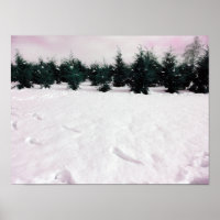 Winter landscape with larches in the snow