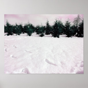 Winter landscape with larches in the snow  poster