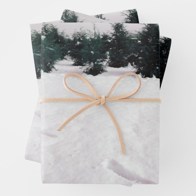 Winter landscape with larches in the snow  wrapping paper sheet (In situ)
