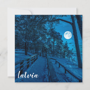 Winter landscape with snow covered pine forest