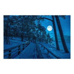 Winter landscape with snow covered pine forest photo print