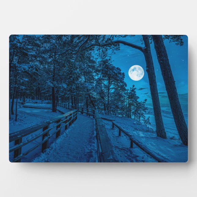Winter landscape with snow covered pine forest plaque (Front)