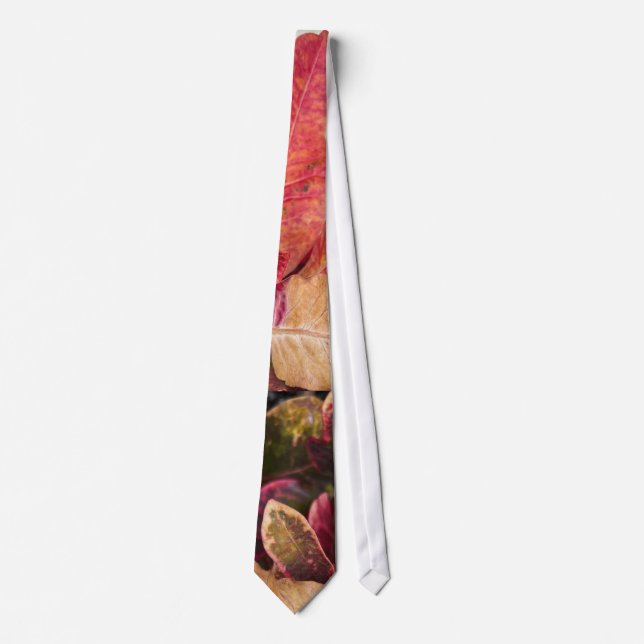 Winter Leaves, Men's Tie (Front)