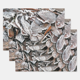 WINTER LEAVES WRAPPING PAPER SHEET