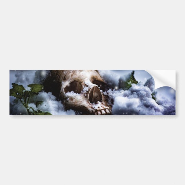 Winter Life IV Bumper Sticker (Front)