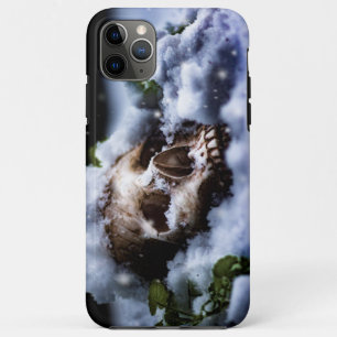 Winter Life IV iPhone 11 Pro Max Case