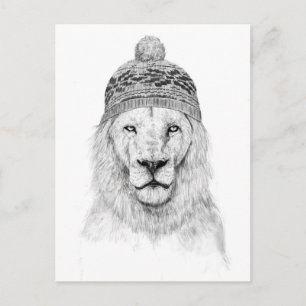 Winter lion (bw) postcard