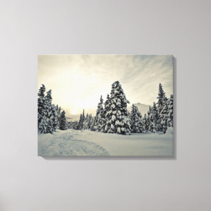 Winter Magic Canvas Print