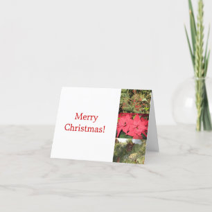 Winter Magic Holiday Card