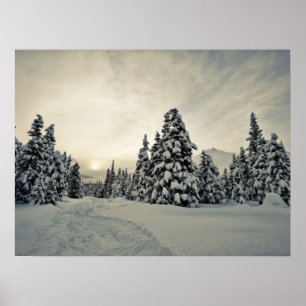 Winter Magic Poster